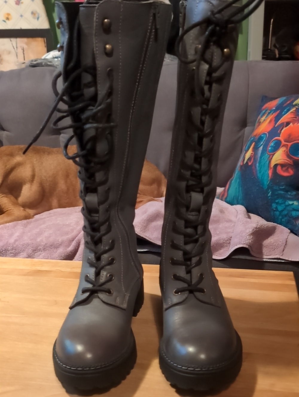 Bueno Tall Lace-Up Boots in Gray